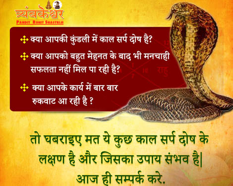 Kaal Sarp Dosh Puja Nashik